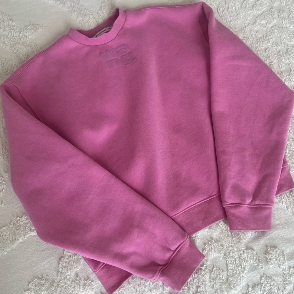 Alexander wang sweatshirt